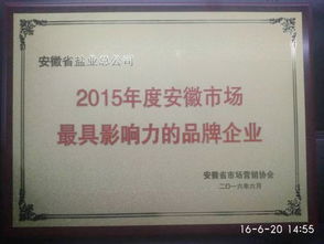 安徽省鹽業(yè)投資控股集團 投資控股的戰(zhàn)略意義與未來展望