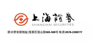 上海證券麗水營業部開業盛典，投資控股引領財富未來