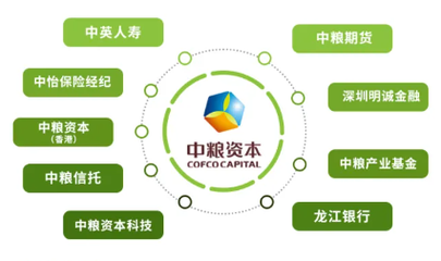 福滿佳2.0紅利實現率超預期，2025年中英人壽分紅率突破3.5%驚喜揭曉